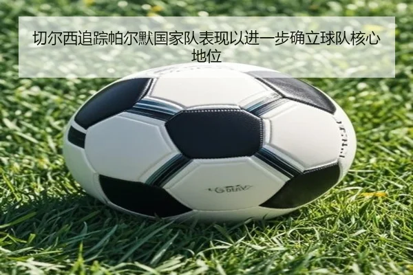 切尔西追踪帕尔默国家队表现以进一步确立球队核心地位