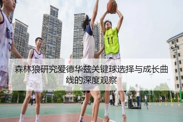 森林狼研究爱德华兹关键球选择与成长曲线的深度观察